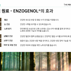 건강건식 뉴질랜드 검진하고 조재하여 